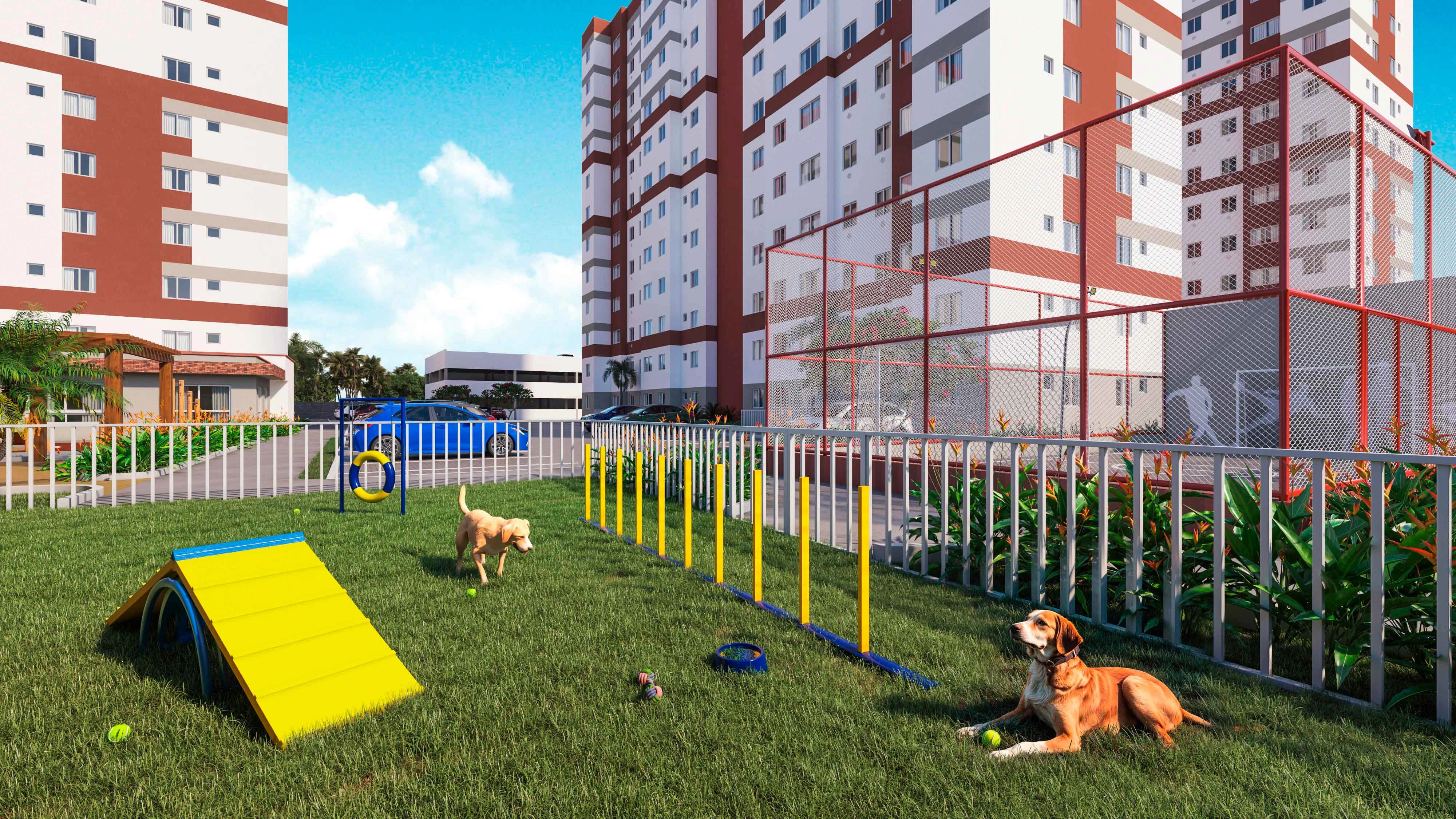 Pet park